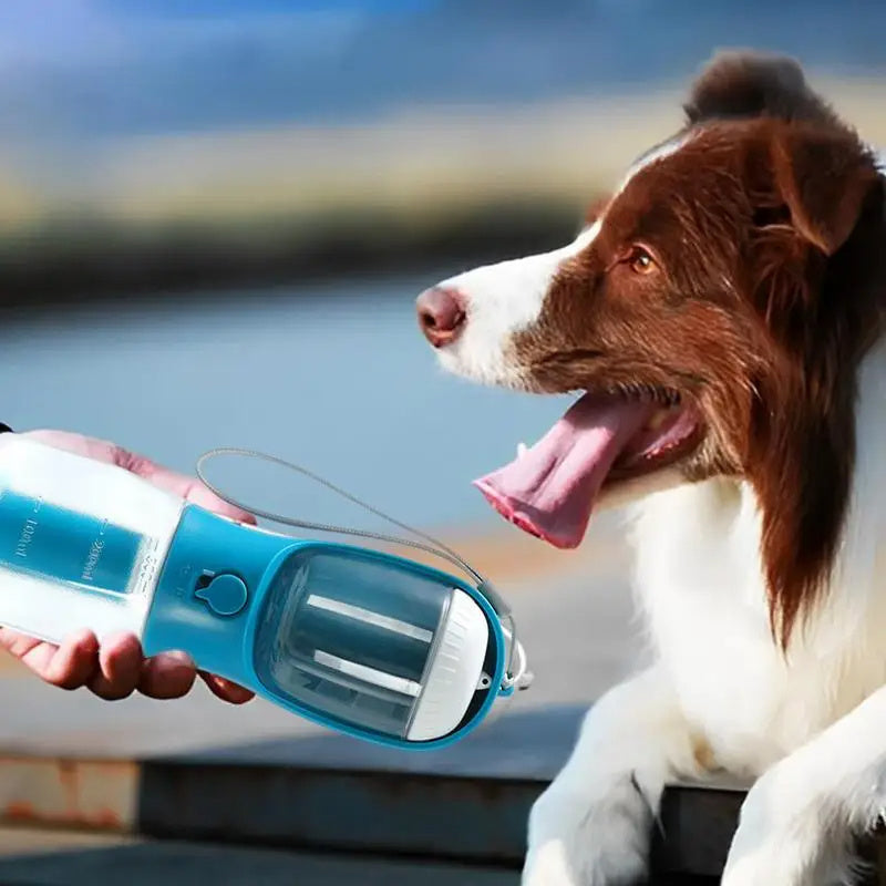 3 in 1 Portable  Pets Supplies